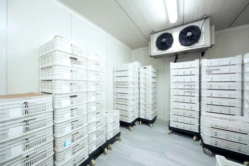 Temperature-controlled cold storage
